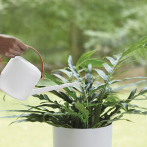 b. for soft watering can white 2